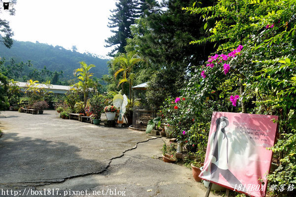 【雲林。古坑】夏卡爾咖啡。咖啡。火鍋。簡餐。華山小天梯附近咖啡館