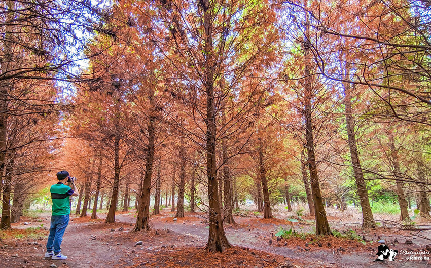 74591196_2849128295107047_4178562438054019072_o