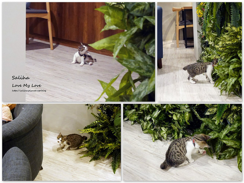 台北松山區好吃網美風必拍植物系好拍餐廳推薦To Be Smoothie (10)