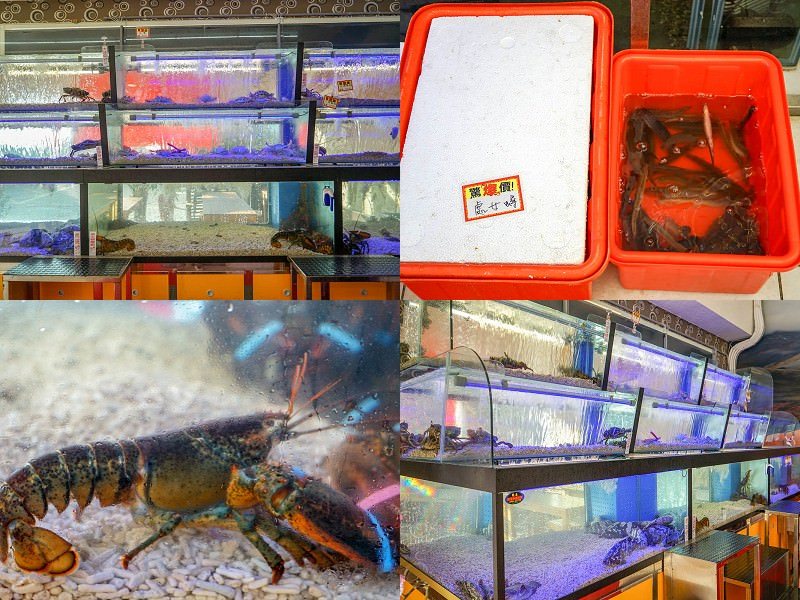 台中東港海世界活海鮮 | 海產餐廳也能吃的到古早味宴客菜，魷魚螺肉蒜、菜尾湯，台中海鮮餐廳推薦。 - 螞蟻幫的櫥櫃