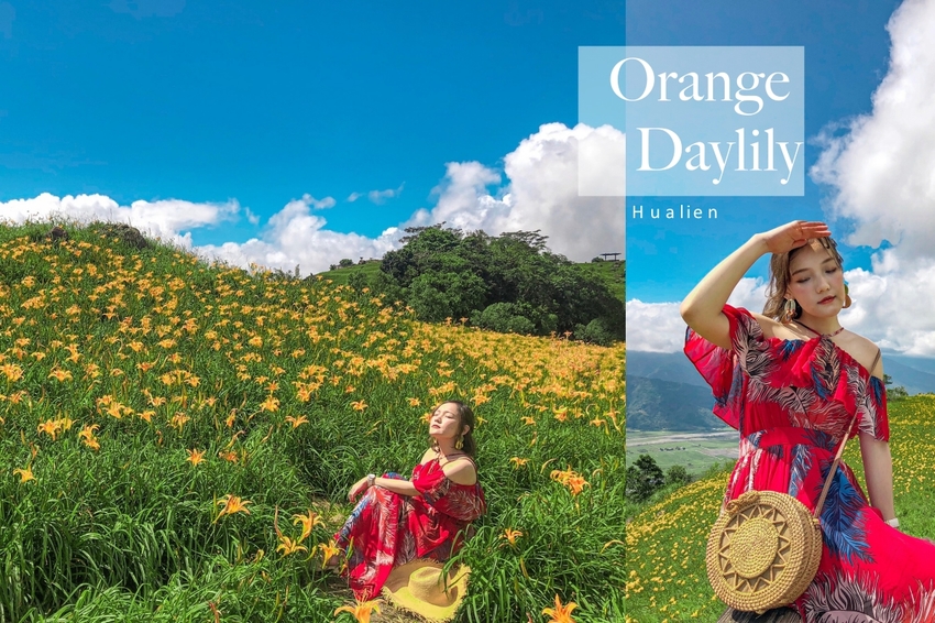 2019花蓮金針花｜六十石山金針花| 交通最新懶人包｜ＩＧ打卡拍照點