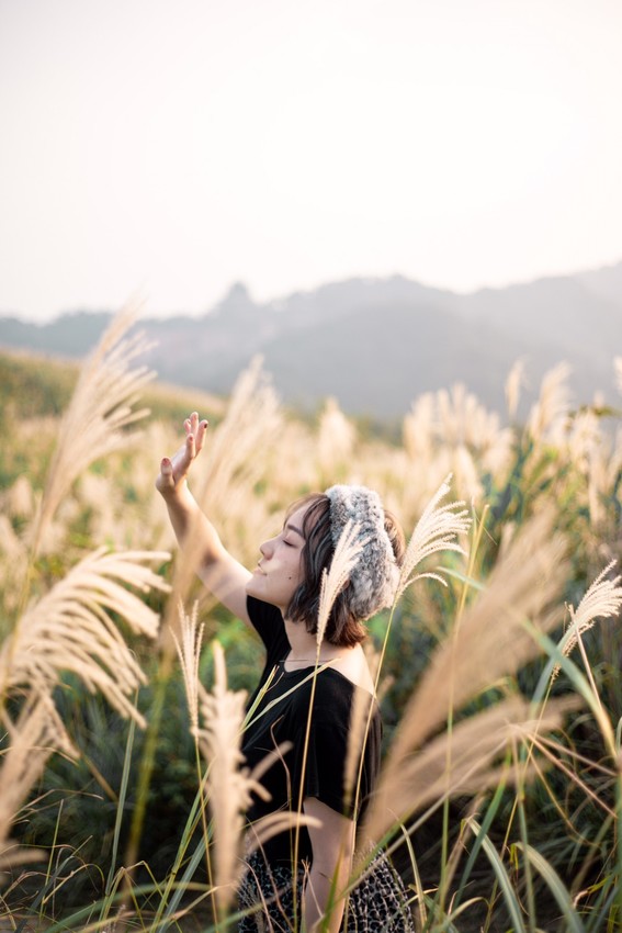  芒草季|新北樹林三角埔頂山交通、花期、拍照攻略|滿山遍野銀白芒草花海
