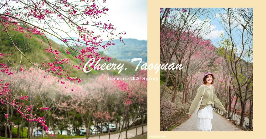 翠墨莊園 | 山中櫻花秘境。沐浴櫻花林中