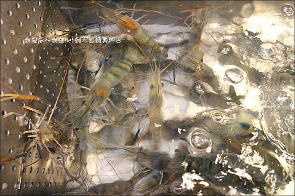 Hen蝦水道蝦專門店10.jpg