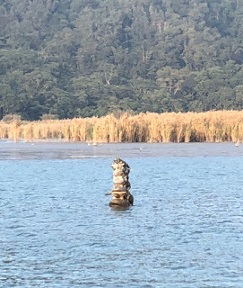 [日月潭遊艇] 日月潭新東方號 Oriental Yacht｜心旅行（搭乘日月潭最美私人遊艇深度遊湖，享受豪華電動船的高品質旅程）