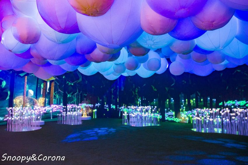 【展覽．台北】HELLO！搞怪8咘特區～讓數字怪物的搞怪魔法帶你一起「玩」展覽