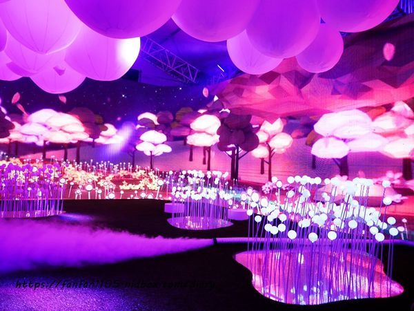 HELLO!搞怪8咘特區 玩樂式互動特展!幻境霧球光影秀，全台最大LED炫彩球池 寒假親子同遊的好去處  (12).JPG