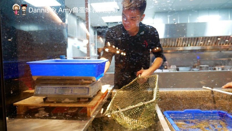 《新竹竹北美食》百家班活蝦-竹北光明店。每日屏東直送活跳跳泰國蝦。菜色推薦菜單分享︱ 影片