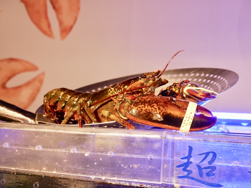 [台北松山]超越水產超市火鍋想吃自己拿肉多多火鍋新品牌 / 活龍蝦588元 / 火鍋蒸籠兩吃法 / 產地直送、平價供應 / 超市火鍋第一品牌