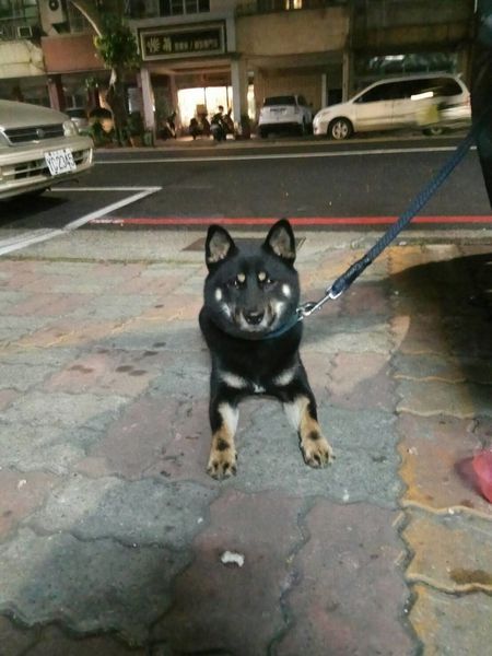 623341.jpg 623341.jpg