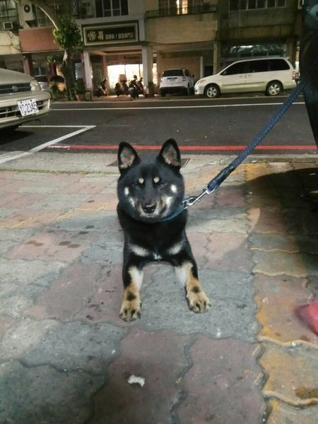 623338.jpg 623338.jpg