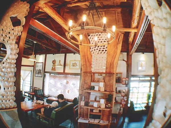 48975156_677866445943537_7572453880345133056_n