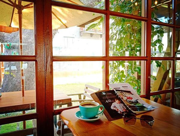 50312632_421011395309178_2180973062785073152_n