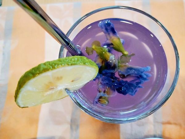 47105188_342631263203619_9014497374839504896_n