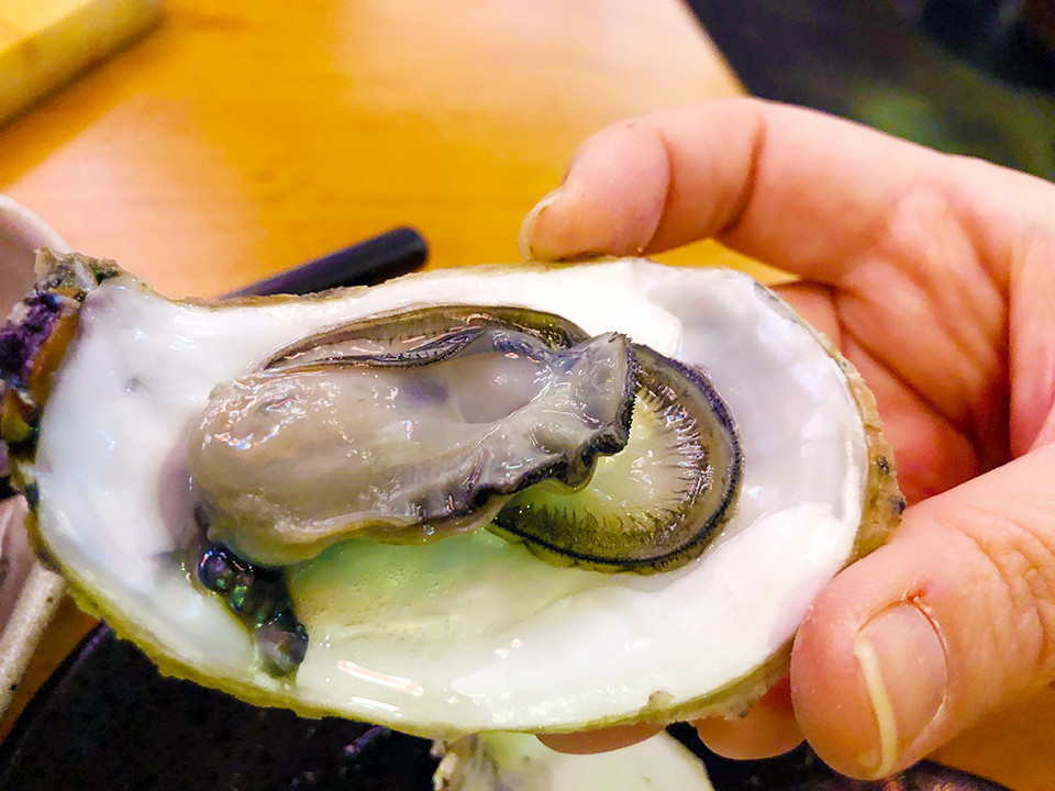 夜問,我不是他媽媽,居酒屋,深夜食堂,食尚玩家推薦,非凡大探索推薦,胡天蘭推薦,排隊美食,人氣美食,銅板美食,IG打卡熱點,餐酒館,夜唱