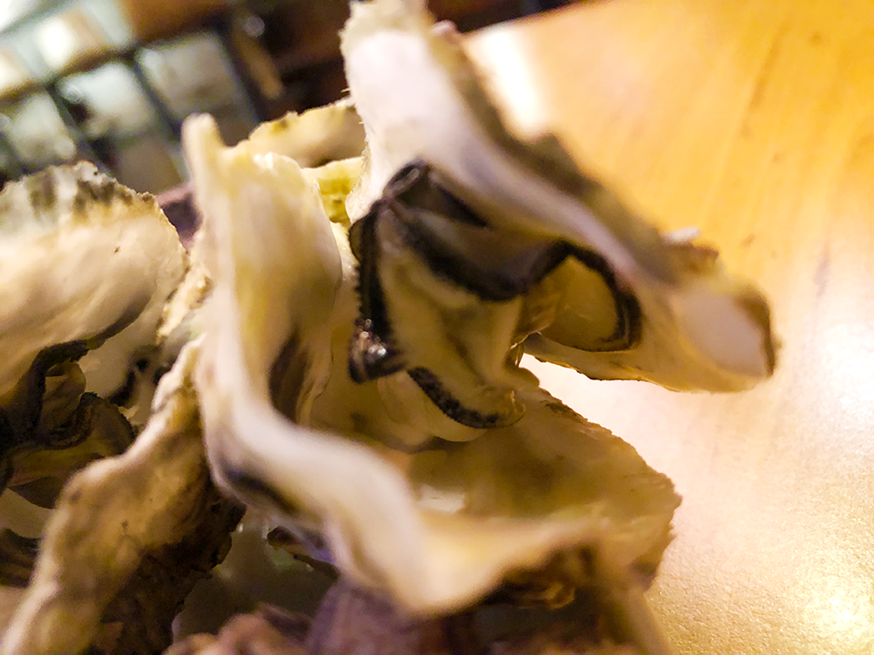 夜問,我不是他媽媽,居酒屋,肉串,餐酒館,市民大道居酒屋,大安區居酒屋,續攤,可樂娜,百威,蒲燒鰻,東區居酒屋,小酌,金沙牛,黃金泡菜,手羽