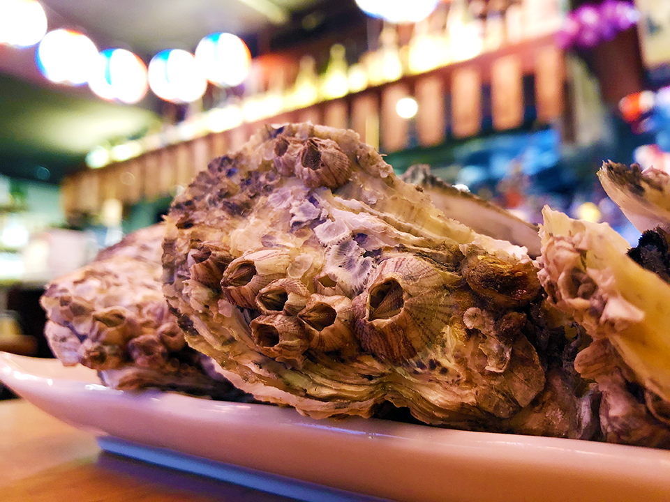 夜問,我不是他媽媽,水果甜酒,清酒,市民大道居酒屋,丼飯,一夜干,台啤,烤肉,慶生,聚餐,尾牙,春酒,明太子,松露,和牛,松板豬,牡蠣,生蠔