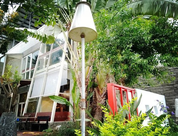 50428502_1462102780587126_3506679250579095552_n