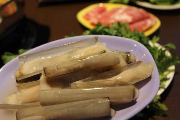 49896527_293533321357269_1031792534822584320_n