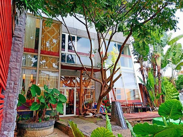 50626158_291332184885365_2704107273508093952_n (1)