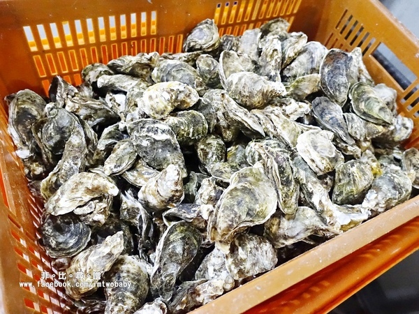 海寶城複合式碳烤(新北五股店)：海寶城複合式碳烤 新北五股店 碳烤/活海鮮/火鍋吃到飽 泰國蝦、泥鰍、活魚、活蟹各式高檔海鮮吃爽爽！