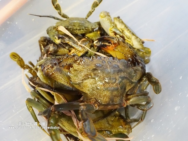 海寶城複合式碳烤(新北五股店)：海寶城複合式碳烤 新北五股店 碳烤/活海鮮/火鍋吃到飽 泰國蝦、泥鰍、活魚、活蟹各式高檔海鮮吃爽爽！