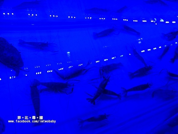 海寶城複合式碳烤(新北五股店)：海寶城複合式碳烤 新北五股店 碳烤/活海鮮/火鍋吃到飽 泰國蝦、泥鰍、活魚、活蟹各式高檔海鮮吃爽爽！