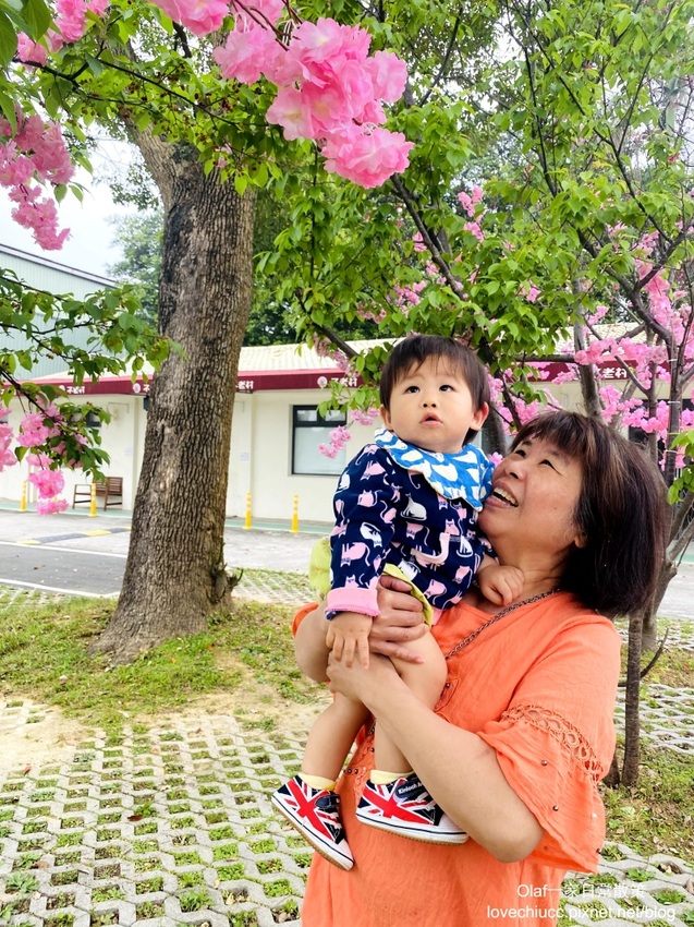 【桃園景點】全台唯一粉紅色大鳥居 蛋寶生技不老村 不用出國就能摸到長壽尊 日式浴衣體驗 免費停車場門票可以抵消費 親子寵物友善觀光工廠 (帶著寶寶去旅行1y3m)