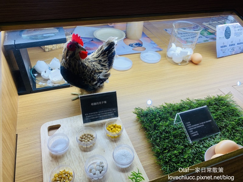 【桃園景點】全台唯一粉紅色大鳥居 蛋寶生技不老村 不用出國就能摸到長壽尊 日式浴衣體驗 免費停車場門票可以抵消費 親子寵物友善觀光工廠 (帶著寶寶去旅行1y3m)