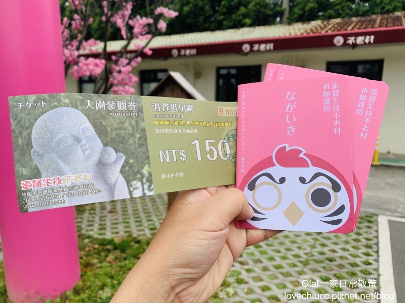 【桃園景點】全台唯一粉紅色大鳥居 蛋寶生技不老村 不用出國就能摸到長壽尊 日式浴衣體驗 免費停車場門票可以抵消費 親子寵物友善觀光工廠 (帶著寶寶去旅行1y3m)
