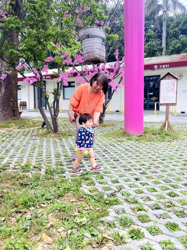 【桃園景點】全台唯一粉紅色大鳥居 蛋寶生技不老村 不用出國就能摸到長壽尊 日式浴衣體驗 免費停車場門票可以抵消費 親子寵物友善觀光工廠 (帶著寶寶去旅行1y3m)