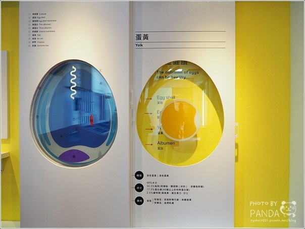 蛋寶生技不老村 (19) 蛋寶生技不老村 (19)