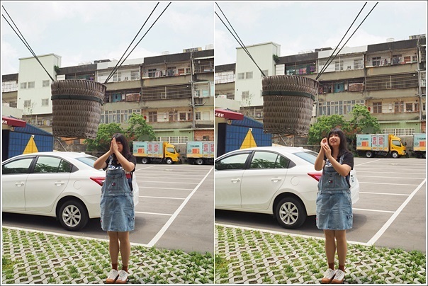 蛋寶生技不老村 (3) 蛋寶生技不老村 (3)