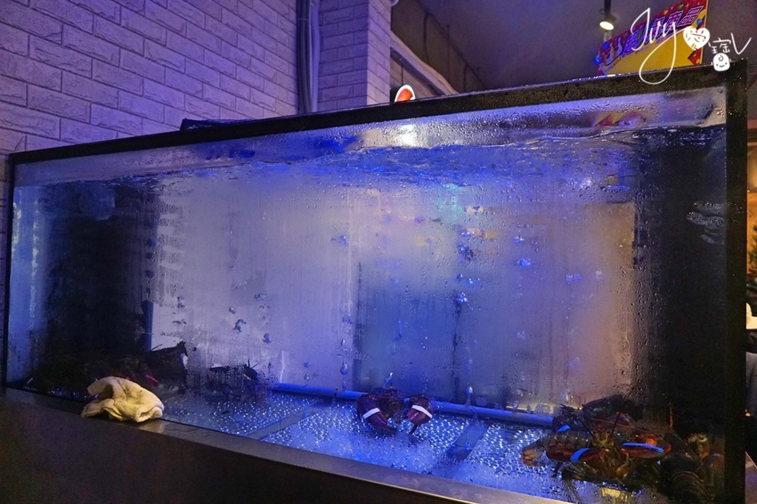 DSC08606.jpg DSC08606.jpg