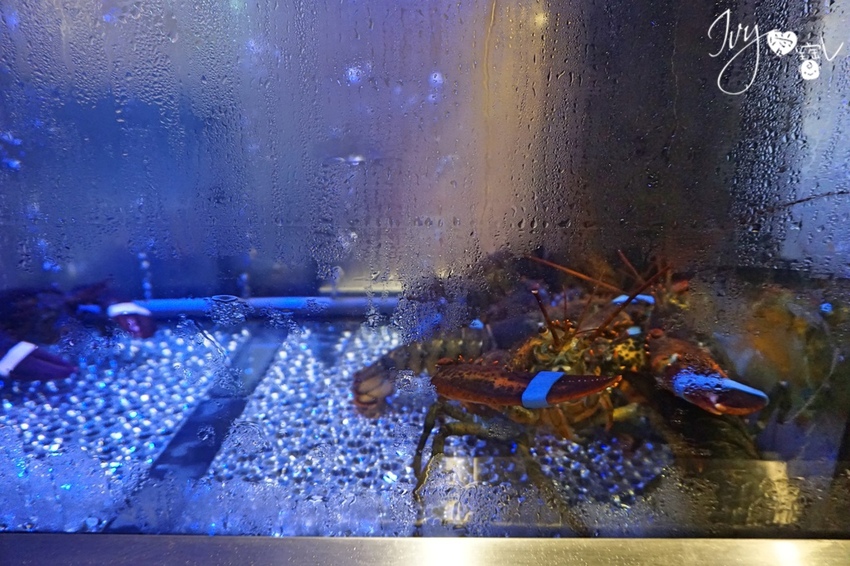 DSC08605.jpg DSC08605.jpg