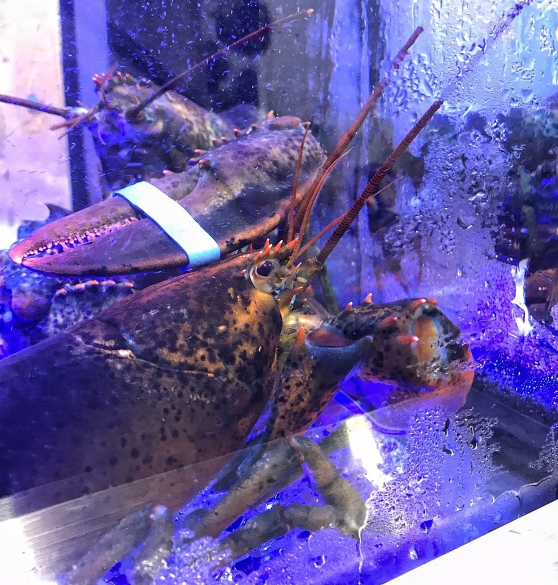 20190123 #2_190123_0010.jpg