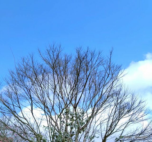 08-144270914_3934842396573536_688121178701466756_n