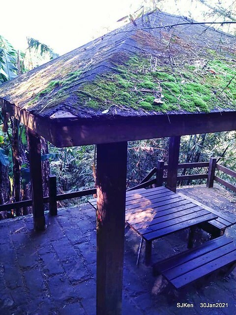 40-144074063_3934845179906591_6291752745052636405_n