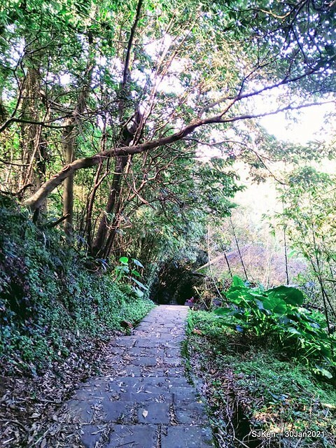 25-143184856_3934845009906608_1165353468298541889_n