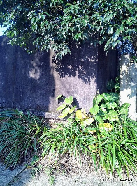 55-143765132_3934842573240185_7462151902733959347_n