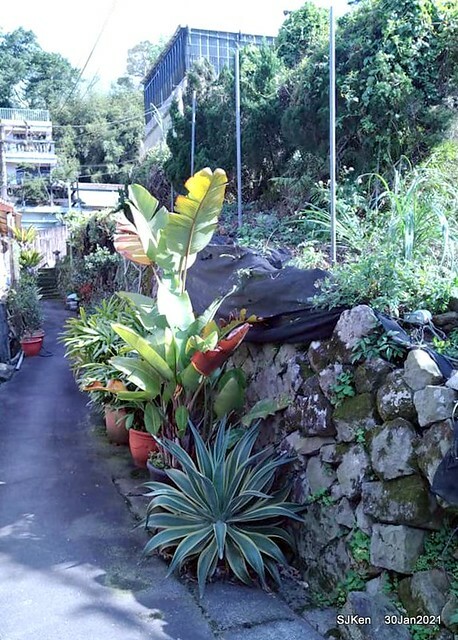 54-144281633_3934842253240217_5024576601617358407_n