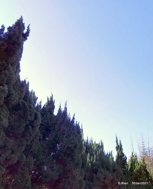 12-143123614_3934842873240155_174865080227480841_n