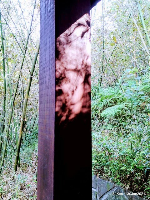 41-143587107_3934845366573239_7409094645937582469_n