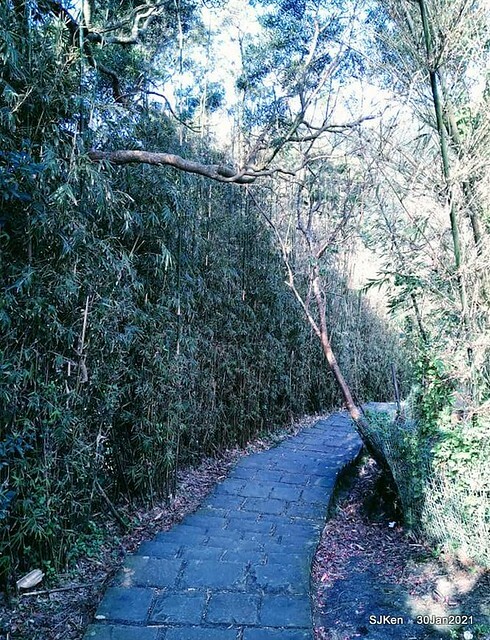 23-143223151_3934844399906669_4915624231100108448_n