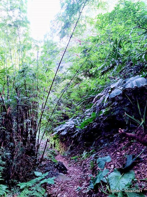 31-143249105_3934846249906484_537546974815118452_n