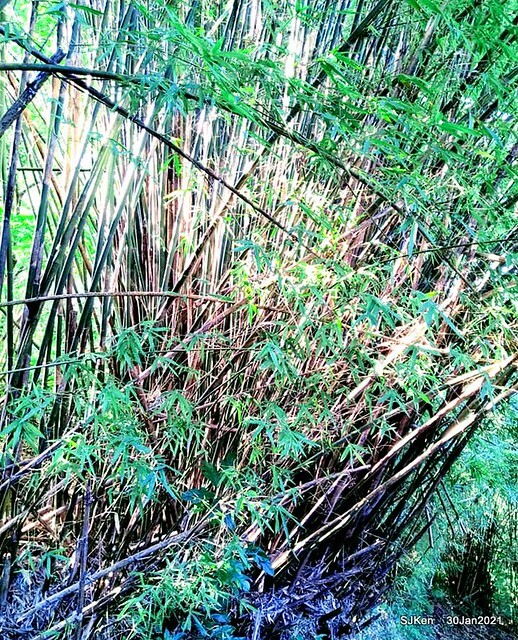 33-142653976_3934845656573210_2045666322261738271_n