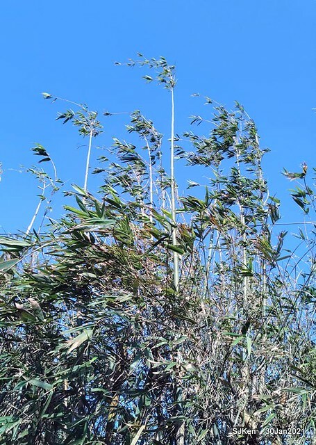 19-143865117_3934843173240125_7235710993963678877_n