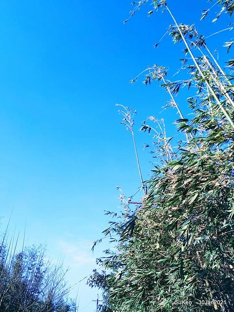 17-144741285_3934843096573466_8037666800534816649_n