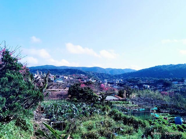 04-143710779_3934843039906805_7607862794973749601_n