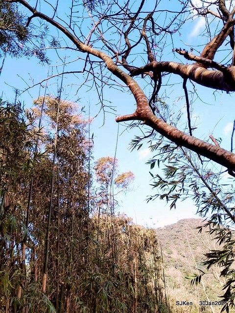 34-144735931_3934844519906657_328865879829706073_n